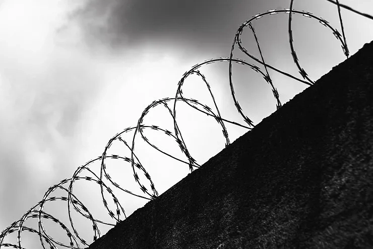 Забор. Обложка © freepik.com / Mateus Andre