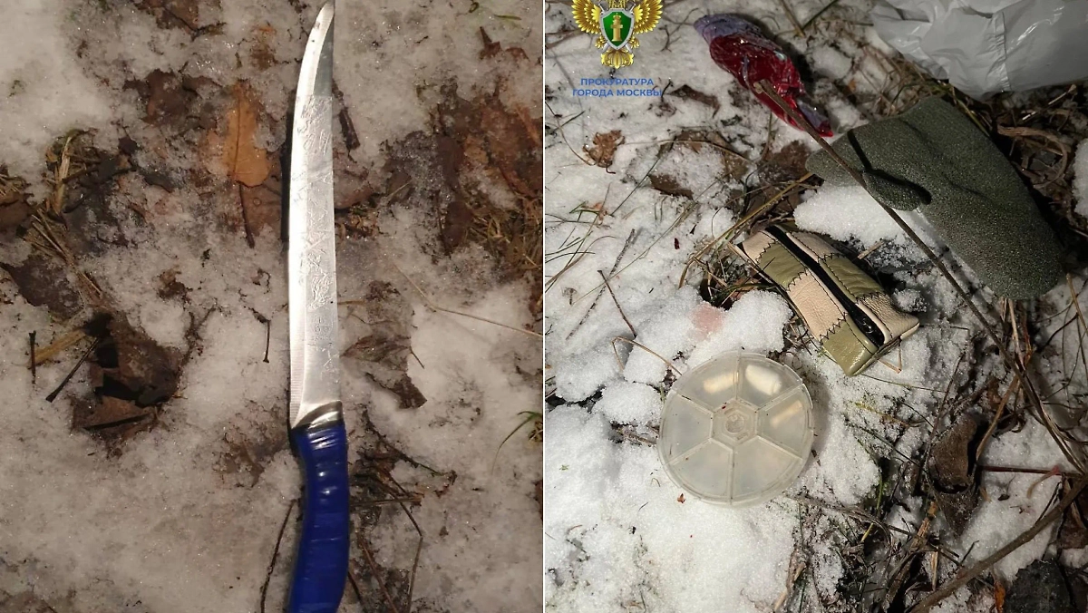 Улики с места убийства. Фото © Telegram / ПРОКУРАТУРА МОСКВЫ