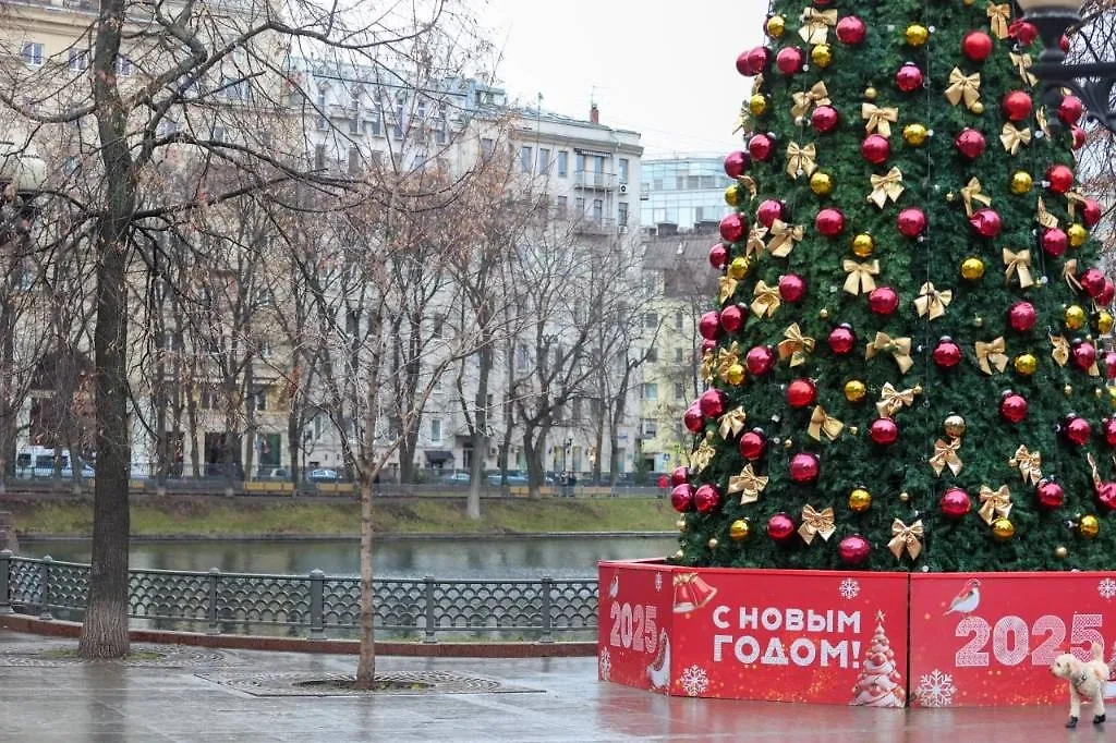 Праздничное дерево в ближайшее время заменят на новое. Обложка © ТАСС / Арина Антонова