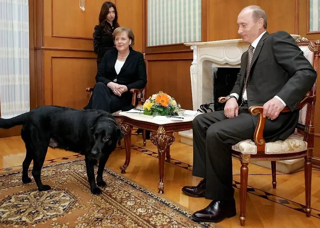 Президент России Владимир Путин и канцлер Германии Ангела Меркель во время встречи в резиденции «Бочаров Ручей» в 2007 году. На снимке в центре - лабрадор президента Кони. Фото © ИТАР-ТАСС/ Дмитрий Астахов
