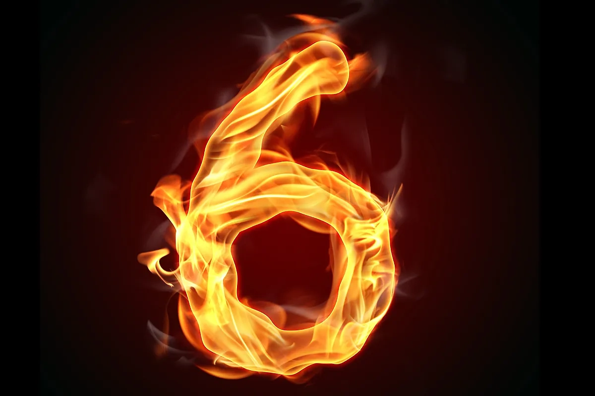 Шесть — число работяг, которые трудятся как пчёлки и получают большой доход от своих трудов. Фото © Shutterstock / FOTODOM / Jag_cz