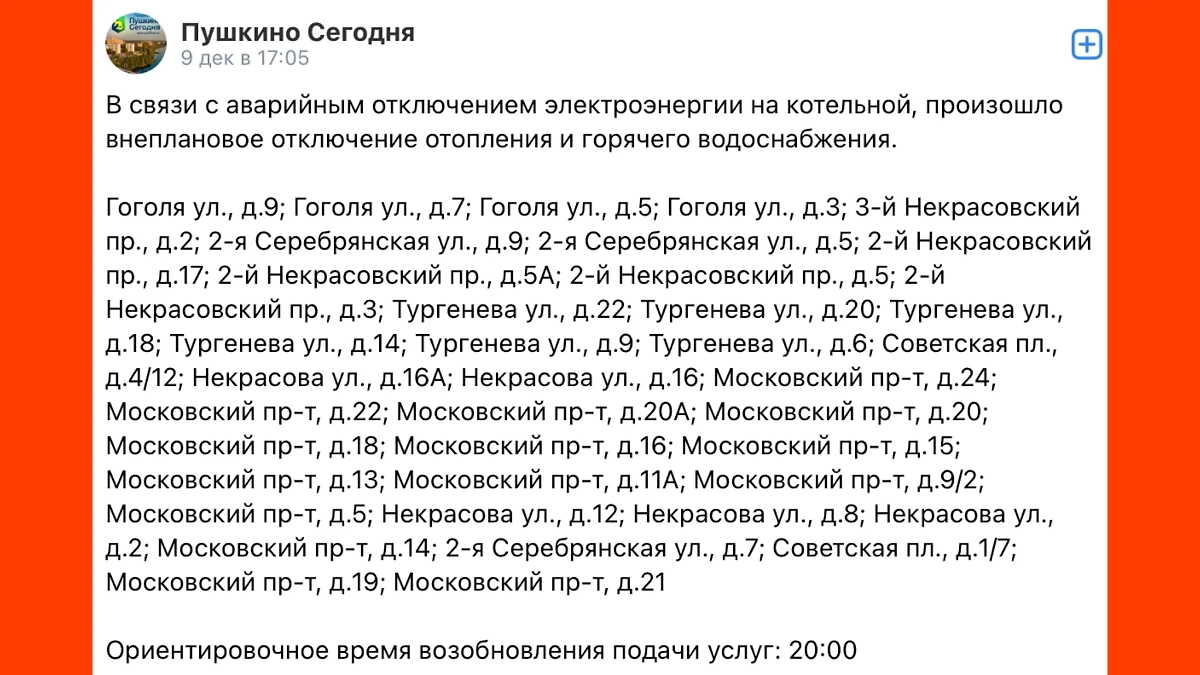 Фото © VK / Пушкино Сегодня