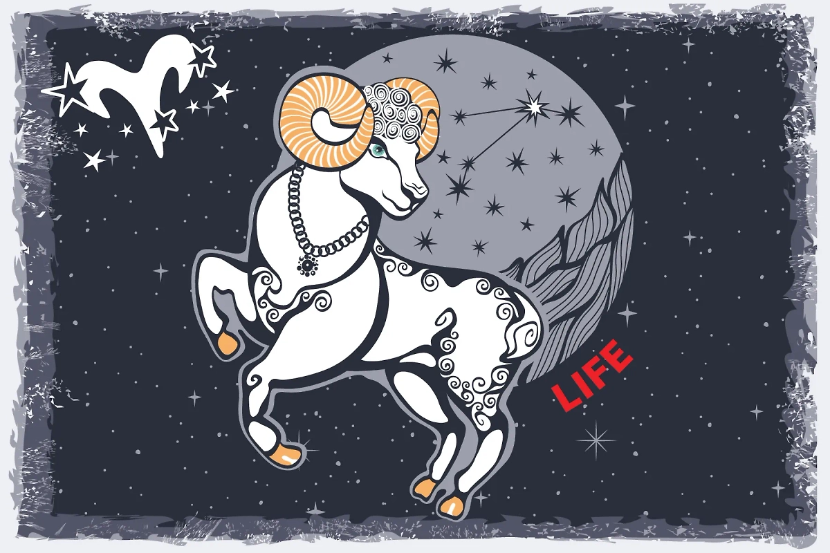 Прогноз для каждого знака Зодиака на 2025 год. Фото © Life.ru