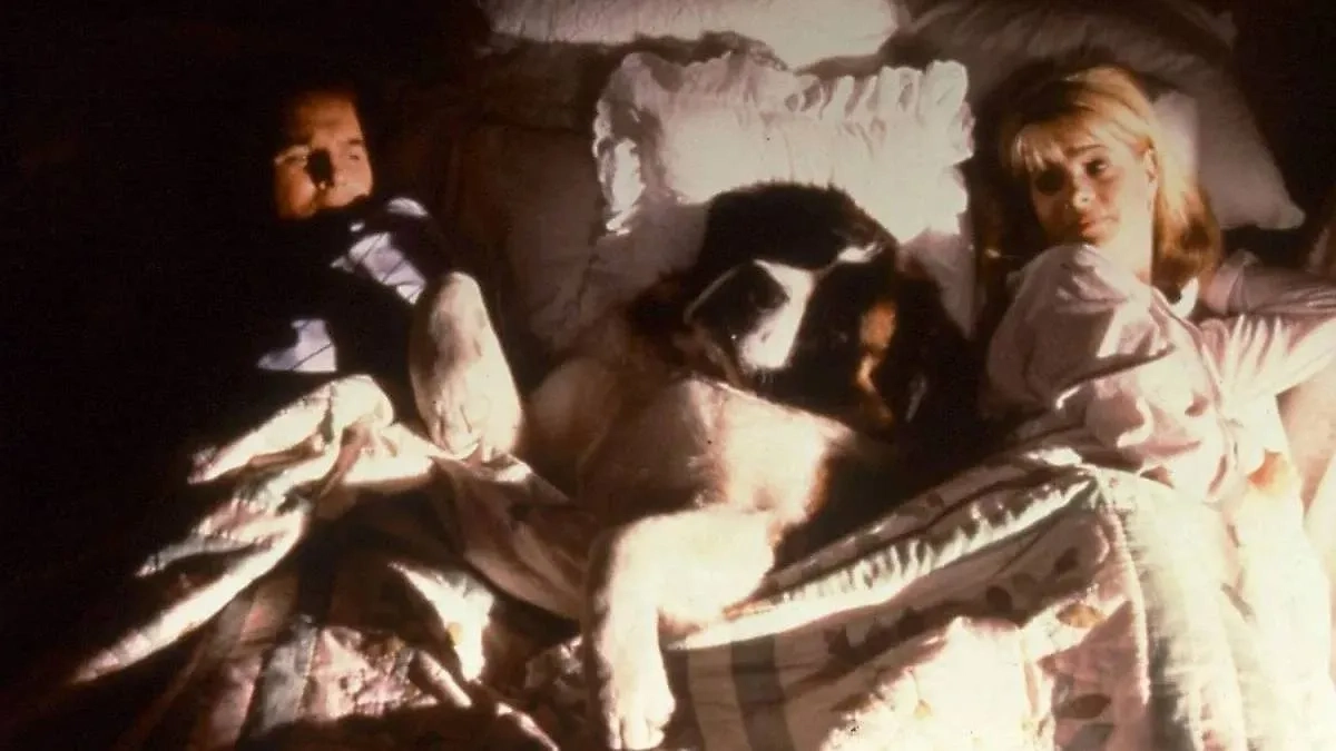 Сенбернар Бетховен, герой одноимённой франшизы из 8 фильмов, массивная и добрая собака. Фото © Кадр из фильма «Бетховен», режиссёр Брайан Левант, сценаристы Джон Хьюз, Эми Холден Джонс / Kinopoisk