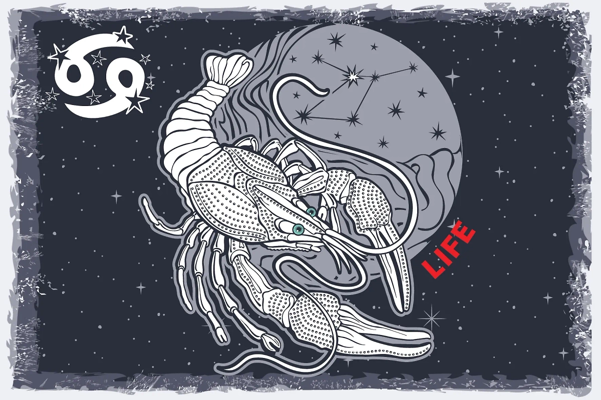 Что советует Тамара Глоба для успеха в 2025-м Ракам по гороскопу. Фото © Life.ru