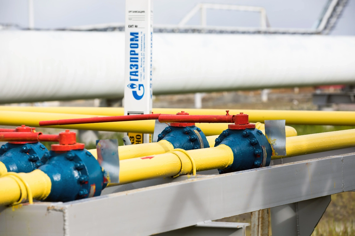 Обложка © Shutterstock / FOTODOM / evangulo 