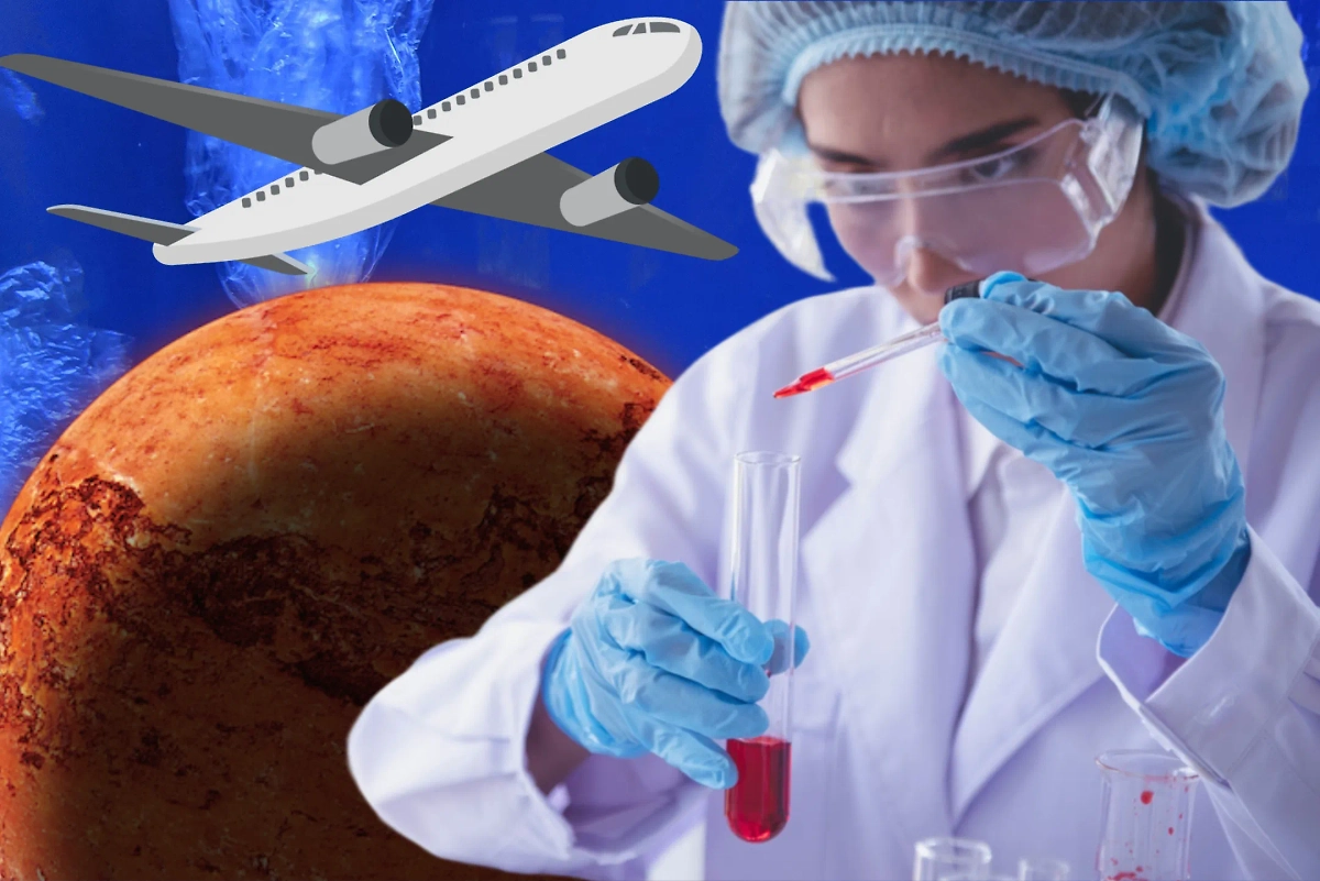 В 2024 году учёные сделали ряд важных открытий. Коллаж © Life.ru, фото © Shutterstock / FOTODOM / afotostock, © Wikipedia