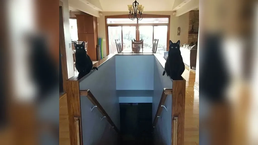 Фото © Reddit / thepastrix