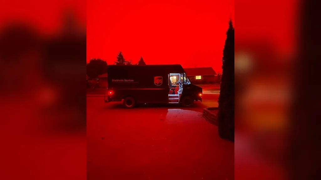 Фото © Reddit / icecreamdoggo