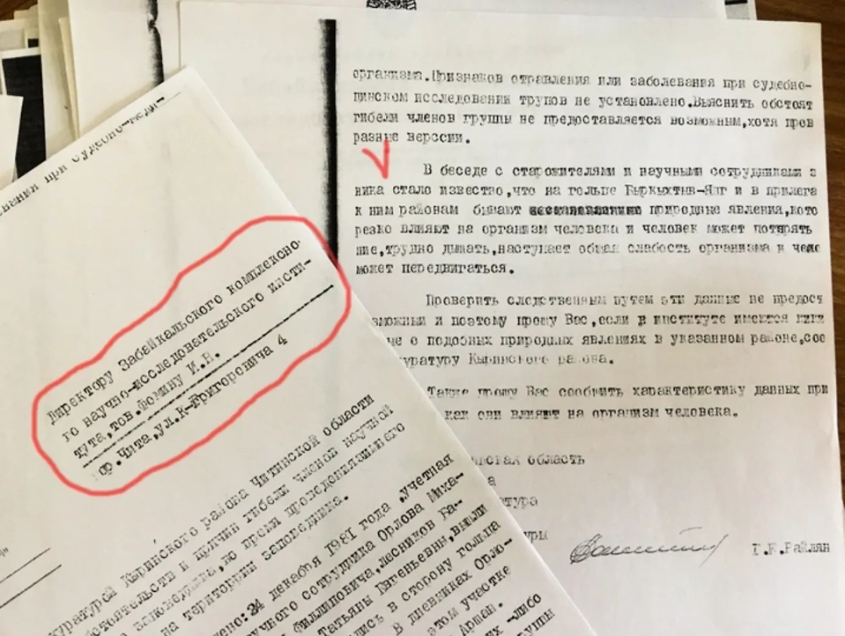 Следователи обращались и к учёным. Фото © ngs.ru / Виктория Михайлюк
