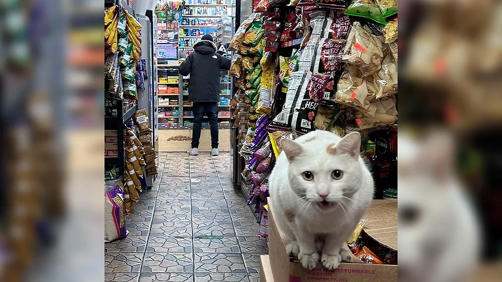 Фото © Reddit / bettypoop