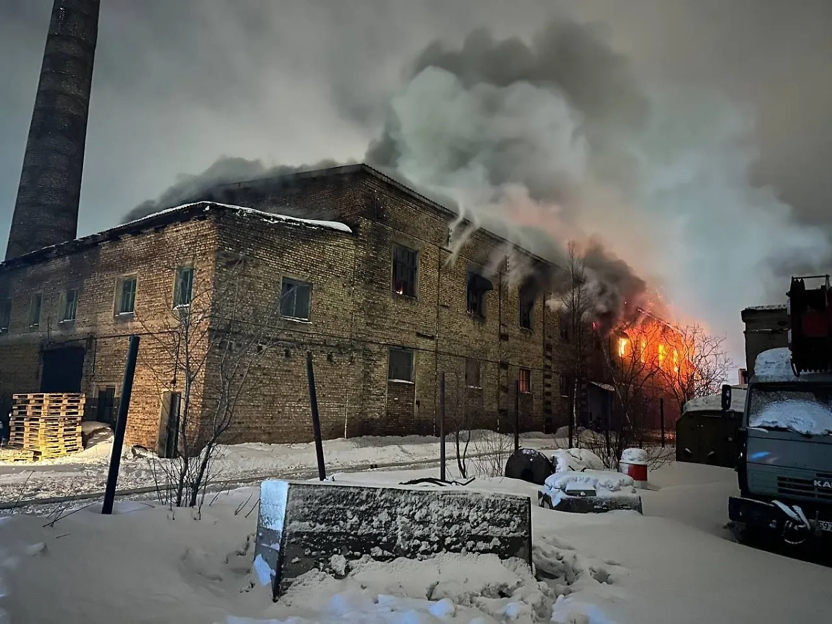 Цех рыбоперерабатывающего завода горит в Мурманске на площади 800 "квадратов". Обложка © t.me / Мурманск ДТП ЧП