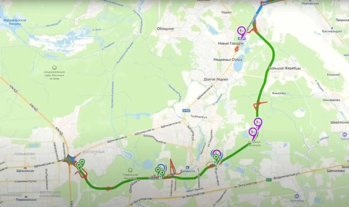 Якобы принятый, но тут же отменённый план строительства дублёра Щёлковского шоссе через Горенский лесопарк. Фото © YouTube / Спаси Горенский Лес