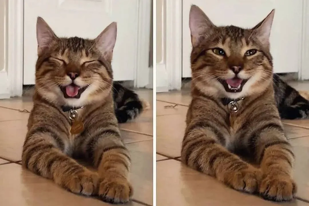 Фото © Reddit / vladgrinch