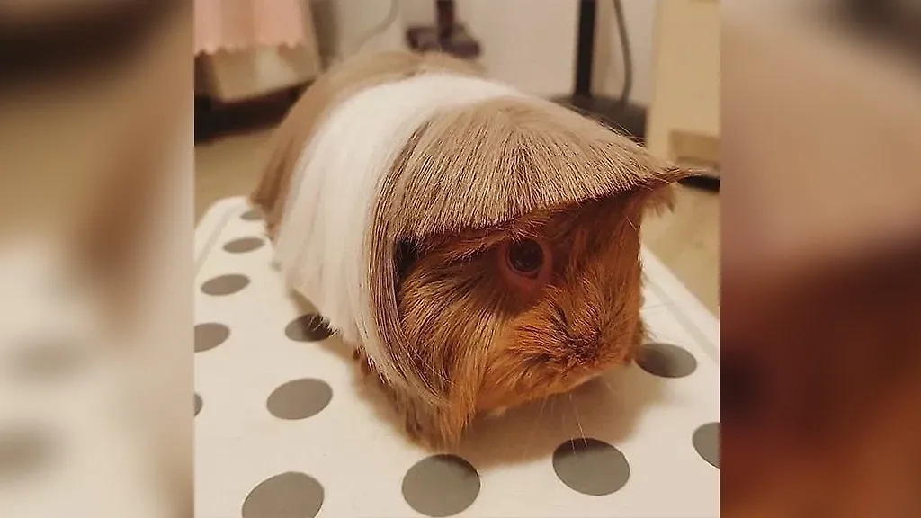 Фото © Reddit / DorkusDeluxus