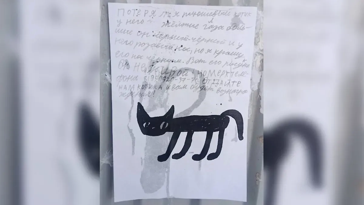 Хозяин игрушки разместил объявление на остановке. Фото © t.me / "Пермский транспорт"