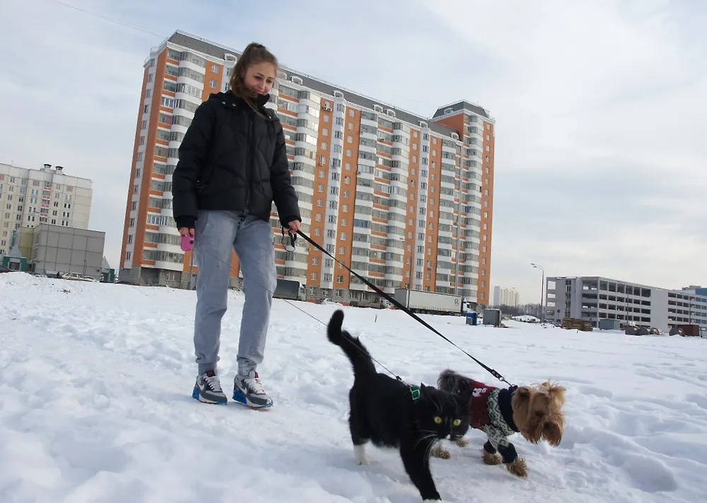 Обложка © Shutterstock