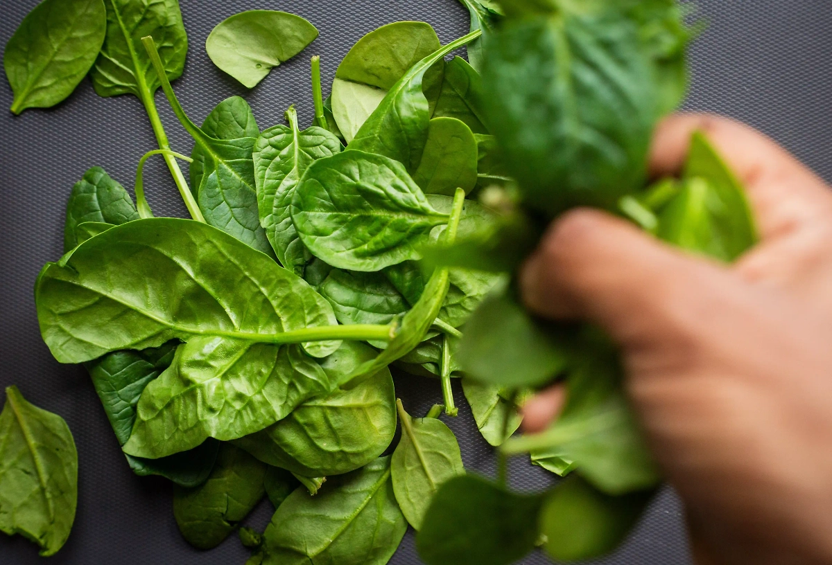 Шпинат содержит калий, который помогает поддерживать баланс гидратации. Обложка © Unsplash