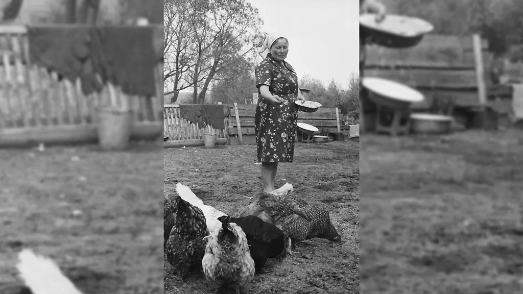 Начиная с 1941 года с каждого колхозного или совхозного двора крестьяне были обязаны сдать государству определённое количество яиц. Фото © ТАСС / Юрий Ильенко, Владимир Фалин 