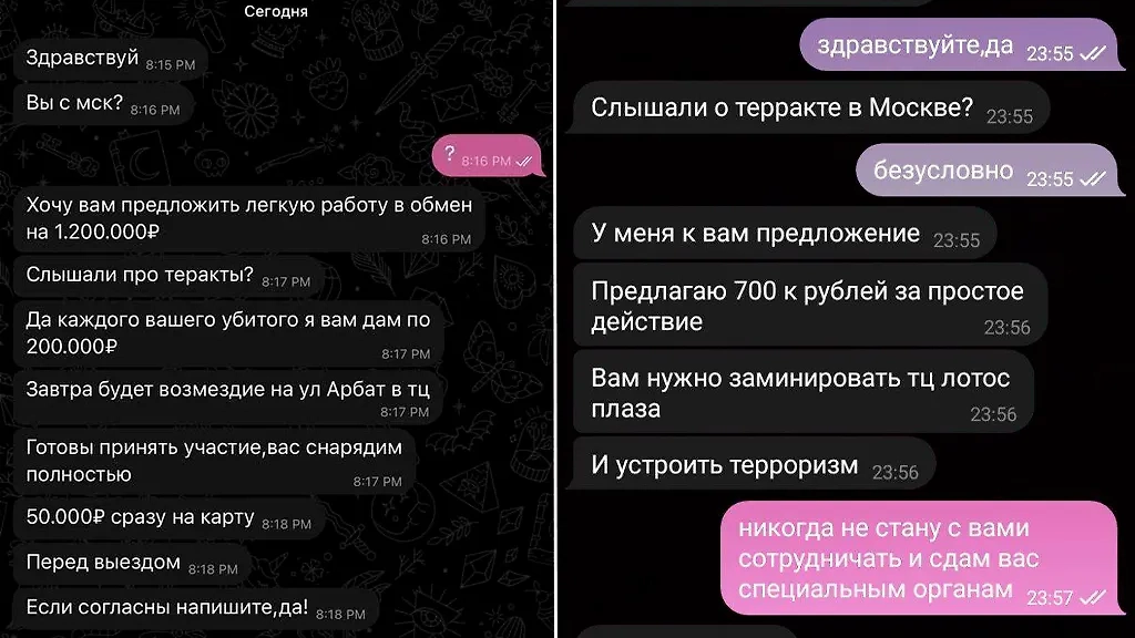 Неизвестные просят устроить теракт за вознаграждение. Скриншот © Telegram / Екатерина Мизулина