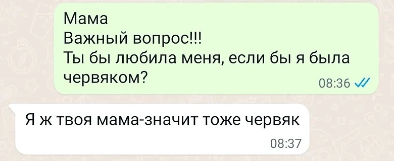 Фото © X / SanyStavrensky