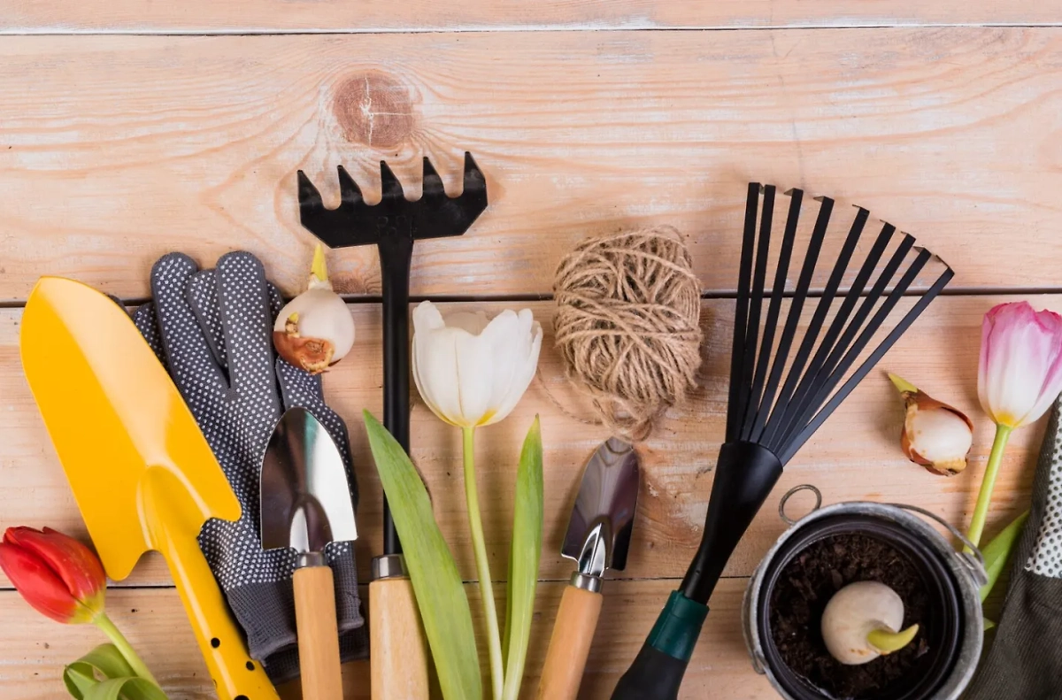 Март — старт дачного сезона, и важно успеть правильно обработать деревья, чтобы летом получить красивые кроны и урожай. Обложка © Freepik.com