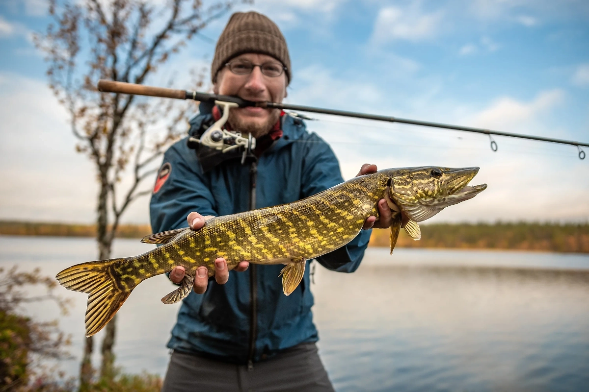 Финляндия признана самой счастливой страной мира уже седьмой год подряд. Обложка © Shutterstock / FOTODOM