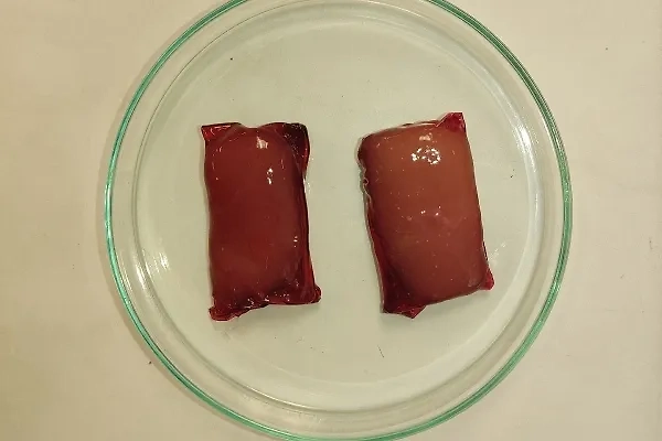 Мясо птицы в плёнке. Обложка © ЮУрГУ