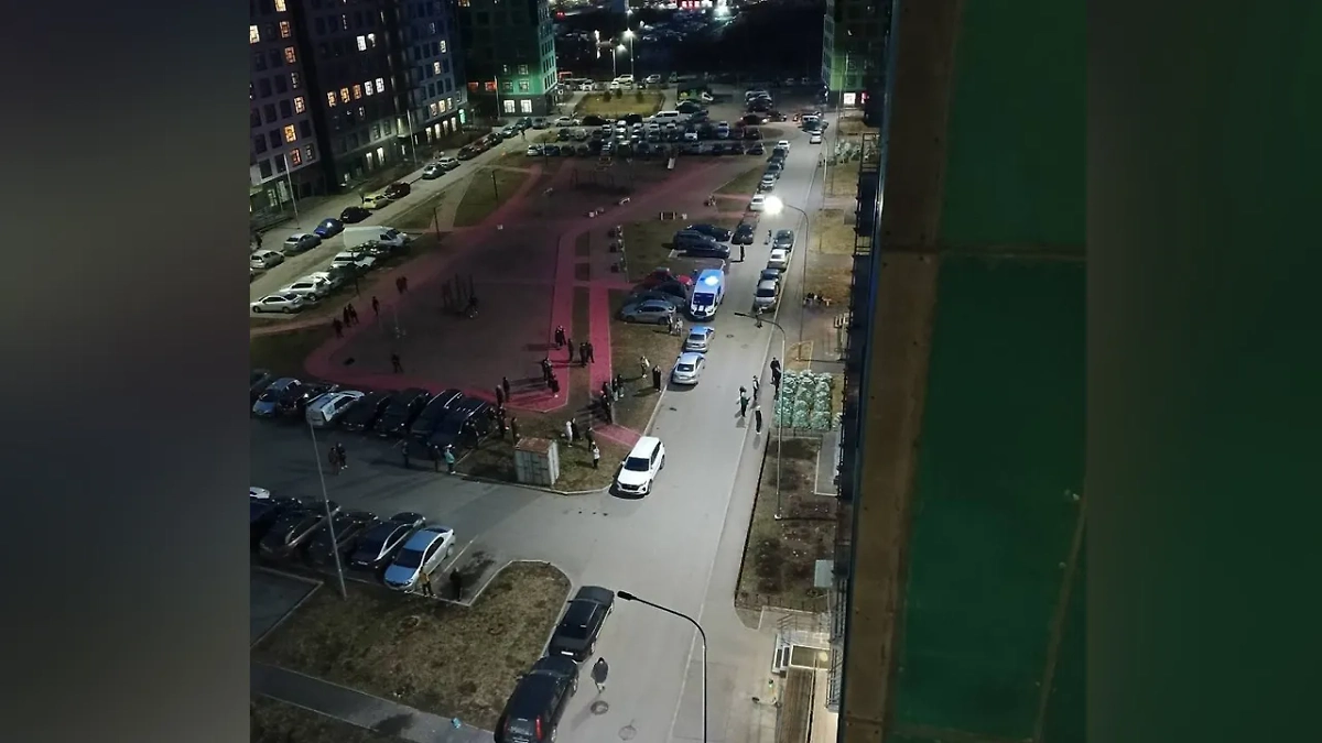 Обстановка в Мурино. Обложка © Telegram / Подслушано в Мурино || Девяткино