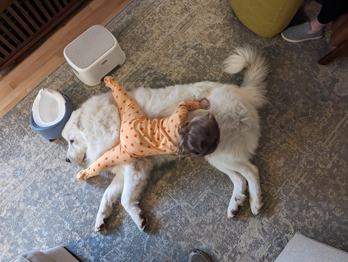 Фото © Reddit / Euphoric-Still-6066