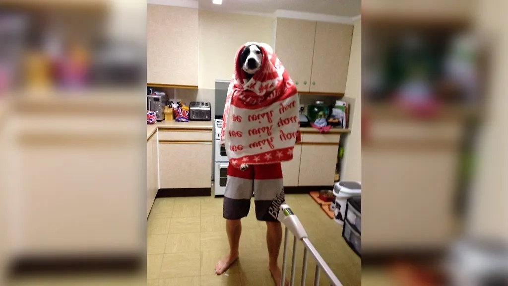 Фото © Reddit / Szmanda44