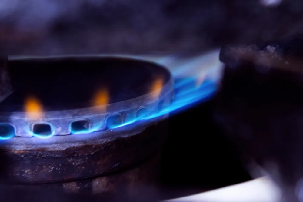 Обложка © Shutterstock / FOTODOM /  AndreyShutov