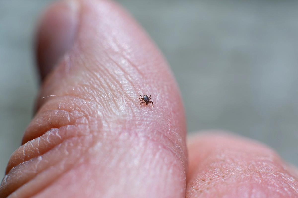 Обложка © Shutterstock / FOTODOM/ MarcinPapaj 