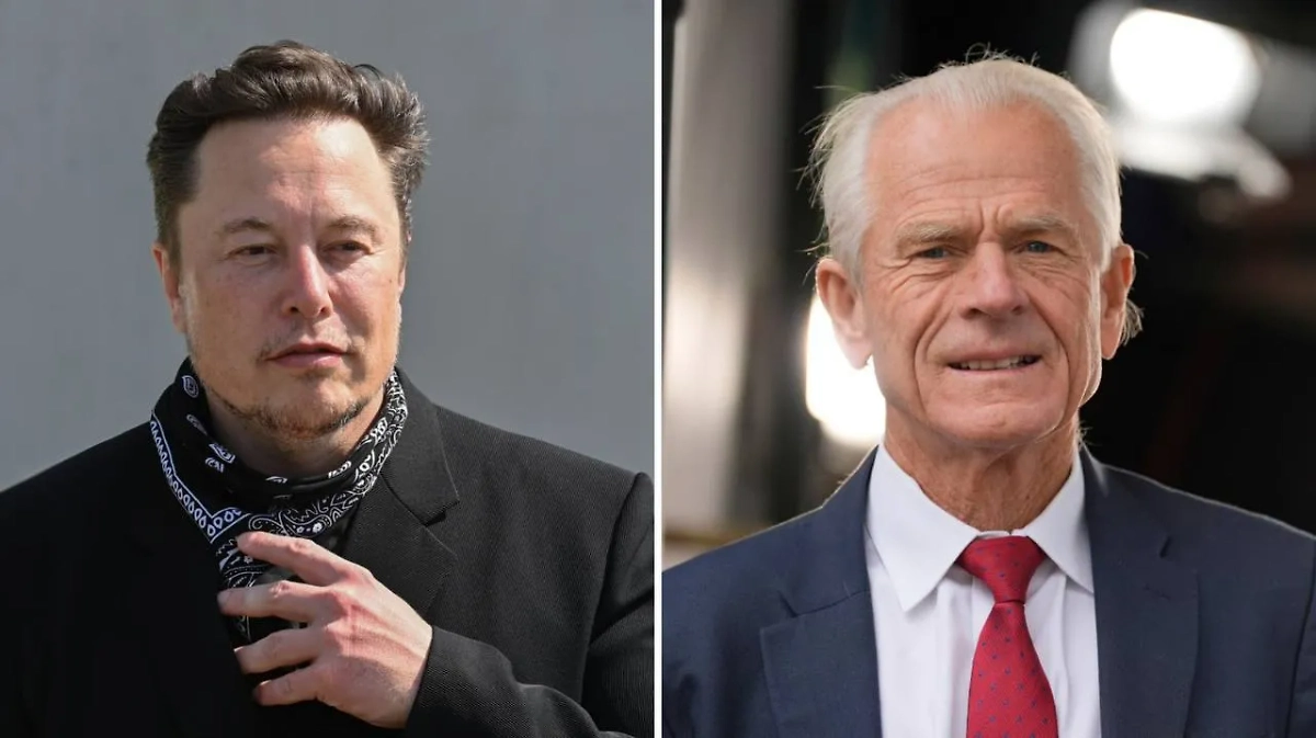 Илон Маск и Питер Наварро. Обложка © ТАСС / Patrick Pleul, Alex Brandon