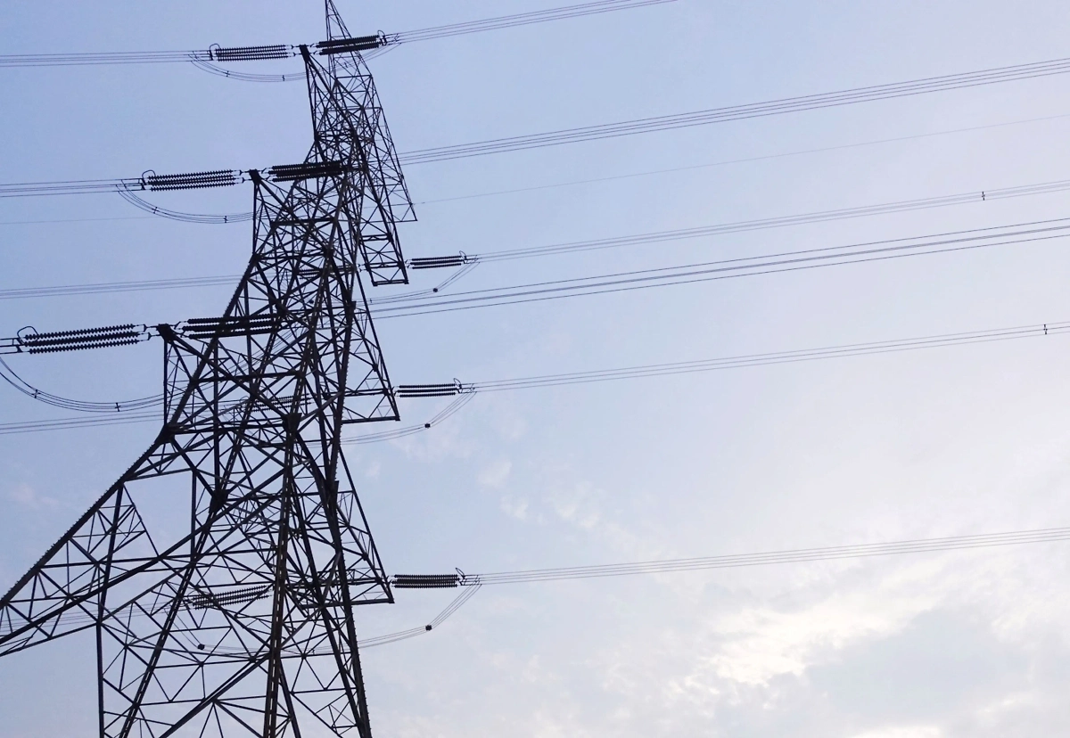 Обложка © Shutterstock / FOTODOM / tone kale