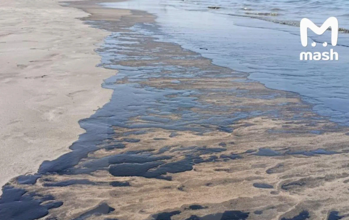 Обложка © Mash