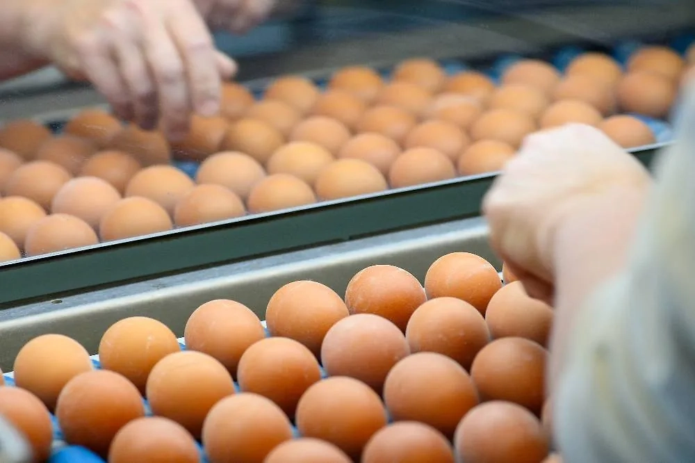 Церковь многое запрещает на Страстную среду. Но многое и разрешает. Фото © ТАСС / dpa / Klaus-Dietmar Gabbert