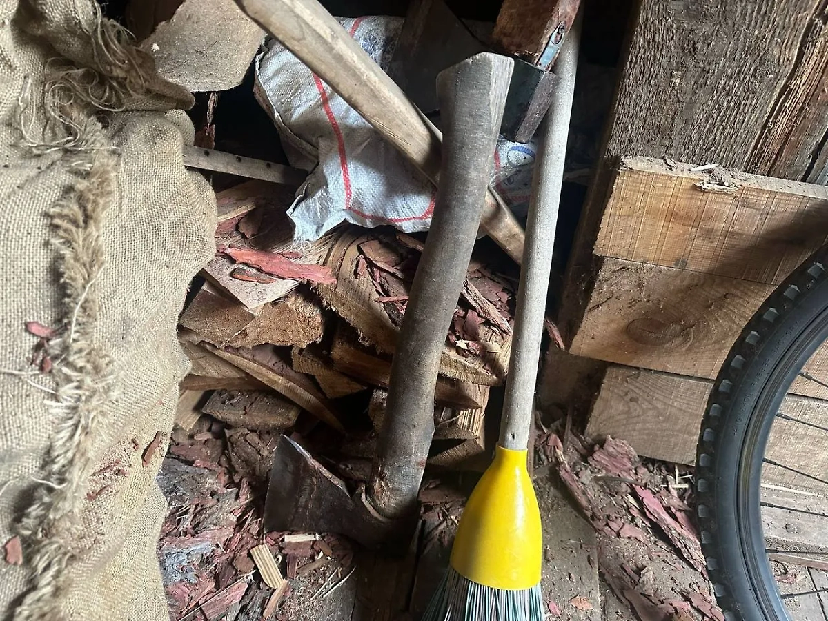 Топор, которым мать убила детей. Обложка © Telegram / ГСУ СК России по Красноярскому краю и Республике Хакасия