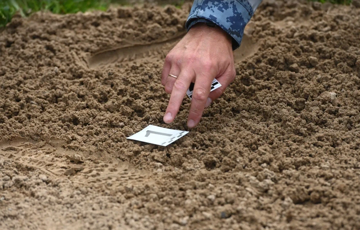 Обложка © Life.ru 