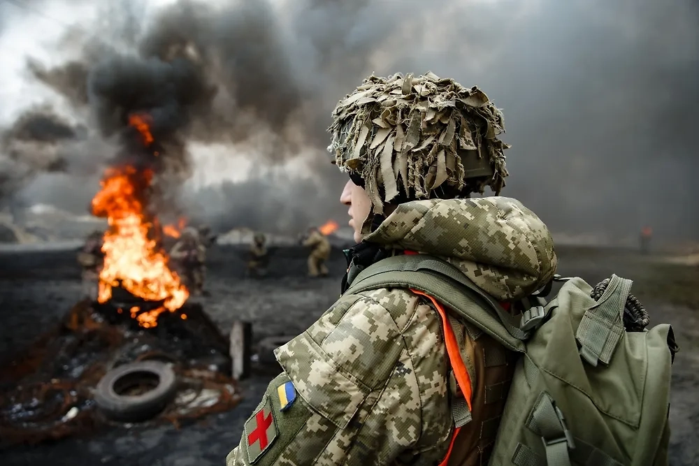 Обложка © Shutterstock / FOTODOM / Dmytro Larin