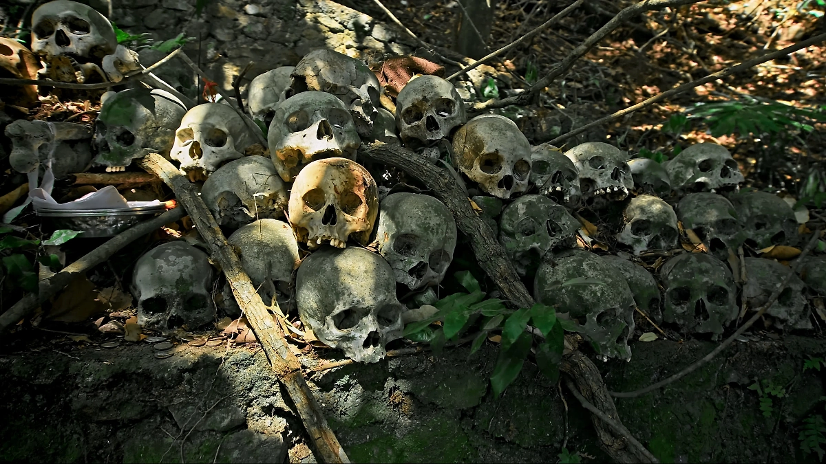 Обложка © Shutterstock / FOTODOM / Nikolas Gregor  