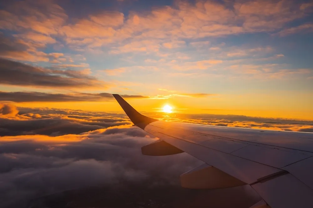 Обложка © Shutterstock / FOTODOM / Valentin Valkov