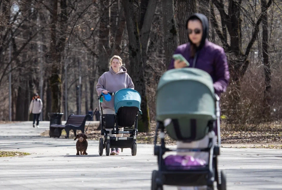 Фото © Life.ru 