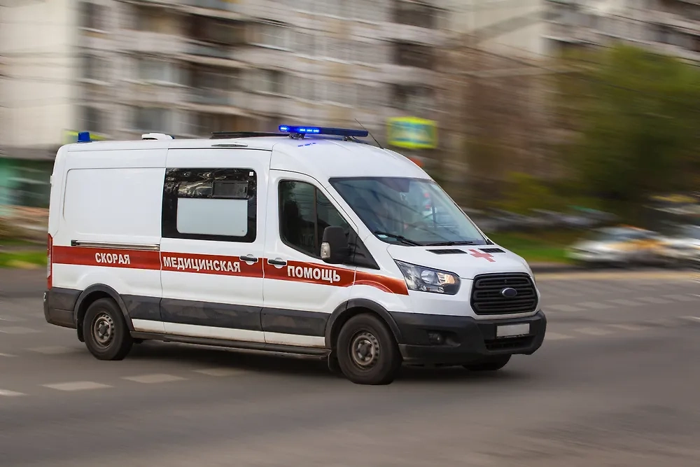 Обложка © Shutterstock / FOTODOM / Tasha Ro