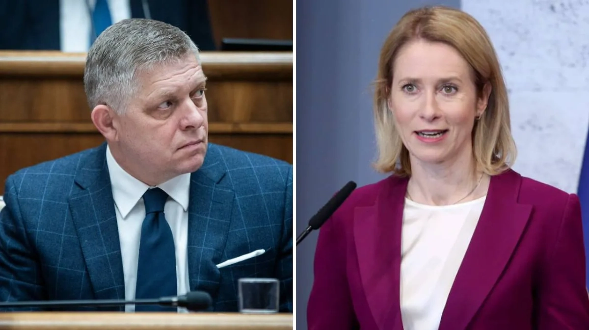 Обложка © ТАСС / JAKUB GAVLAK, MALTON DIBRA