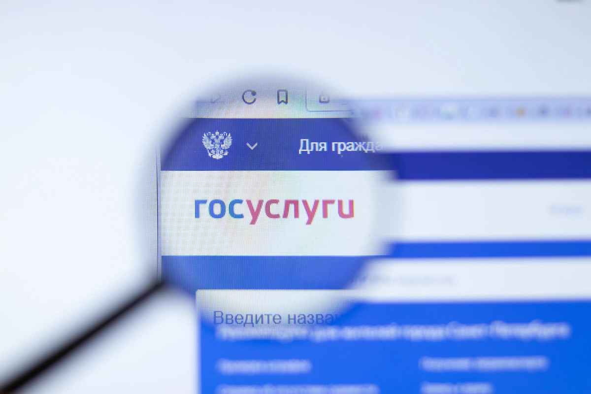 «Госуслуги». Фото © Shutterstock / FOTODOM / Postmodern Studio