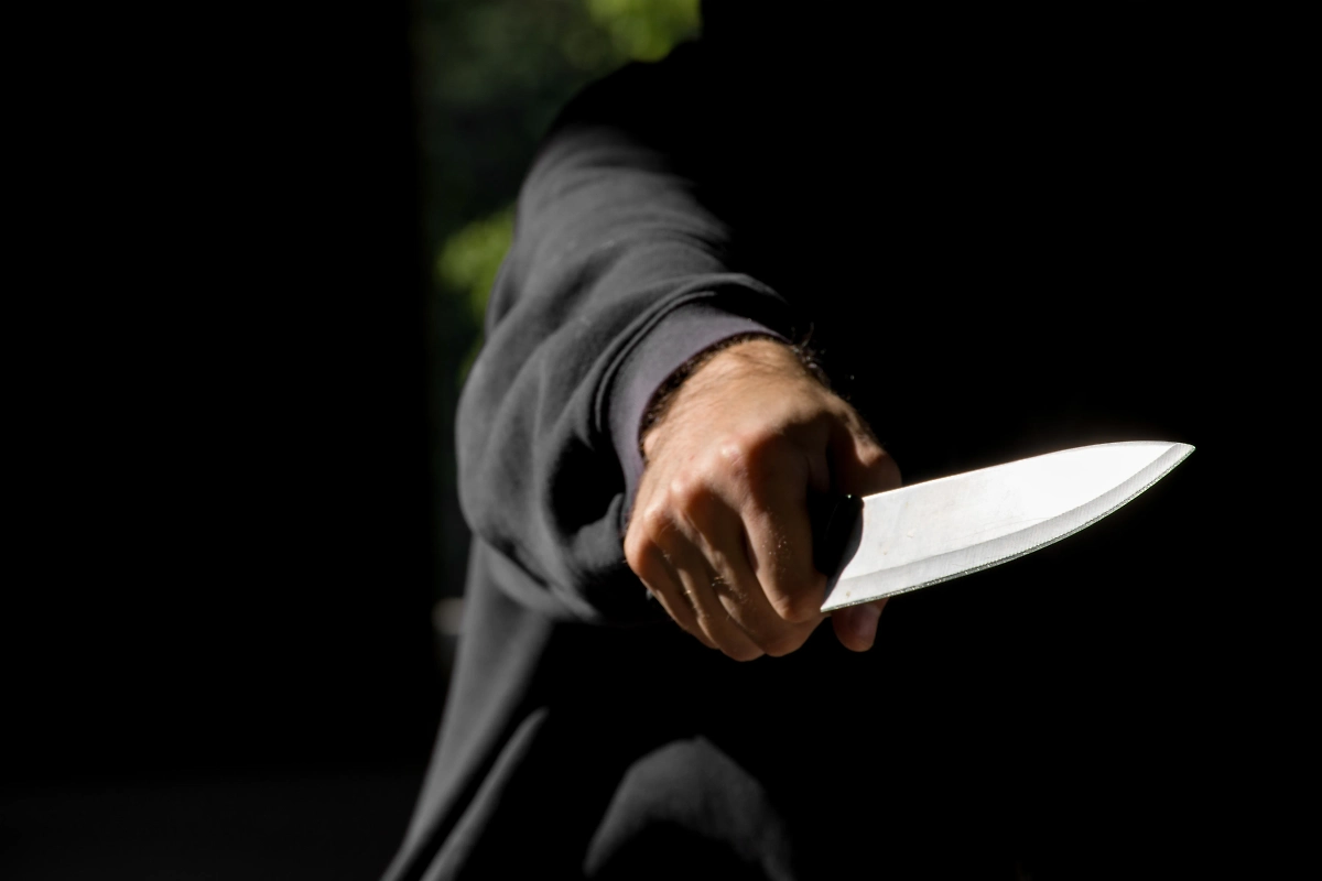 Обложка © Shutterstock / FOTODOM / Denis Andricic