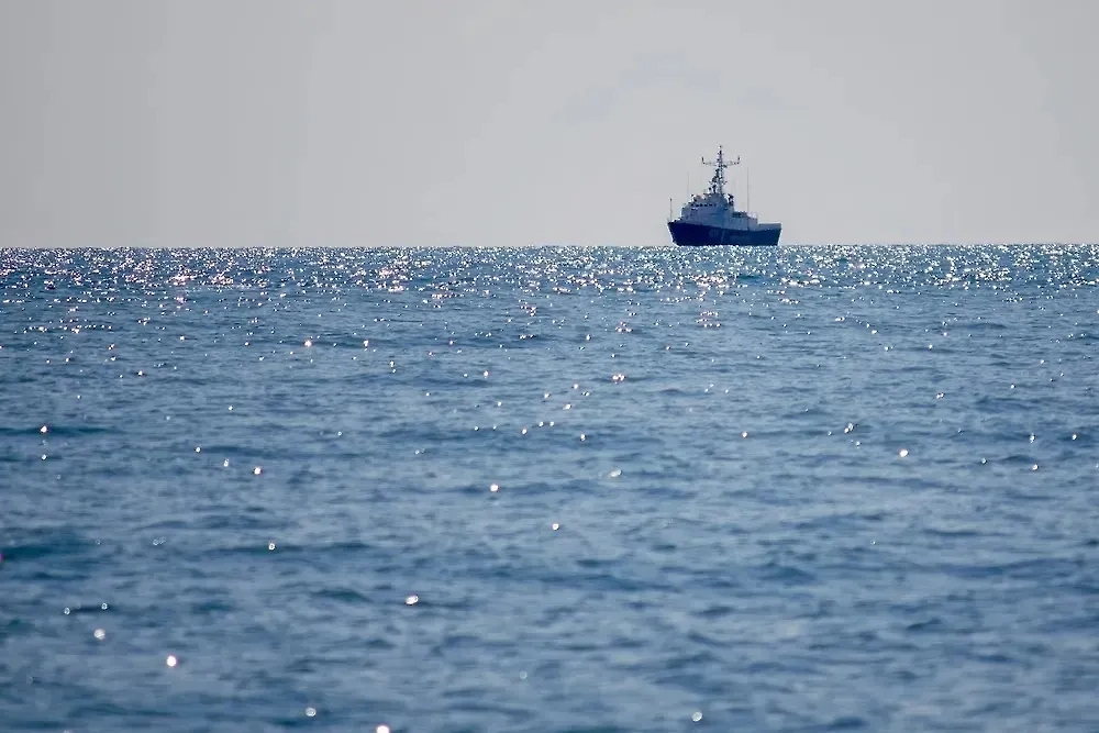 Фото © Shutterstock / FOTODOM Kryvosheia Yurii