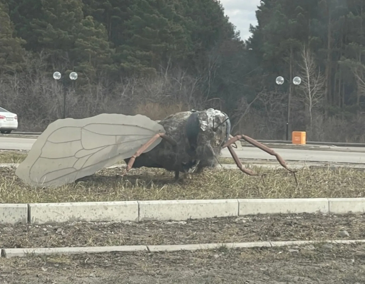 Обложка. © Telegram / Ишим пере Подслушано