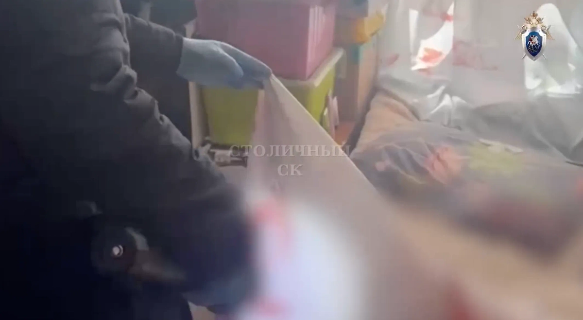 Место трагедии в Москве, где дочь зарезала своего отца. Обложка © Telegram / Столичный СК